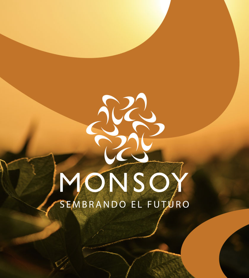 Banner Monsoy